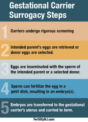 infographic | Reproductive Science Center New Jersey | Gestational Carrier Surrogacy Steps