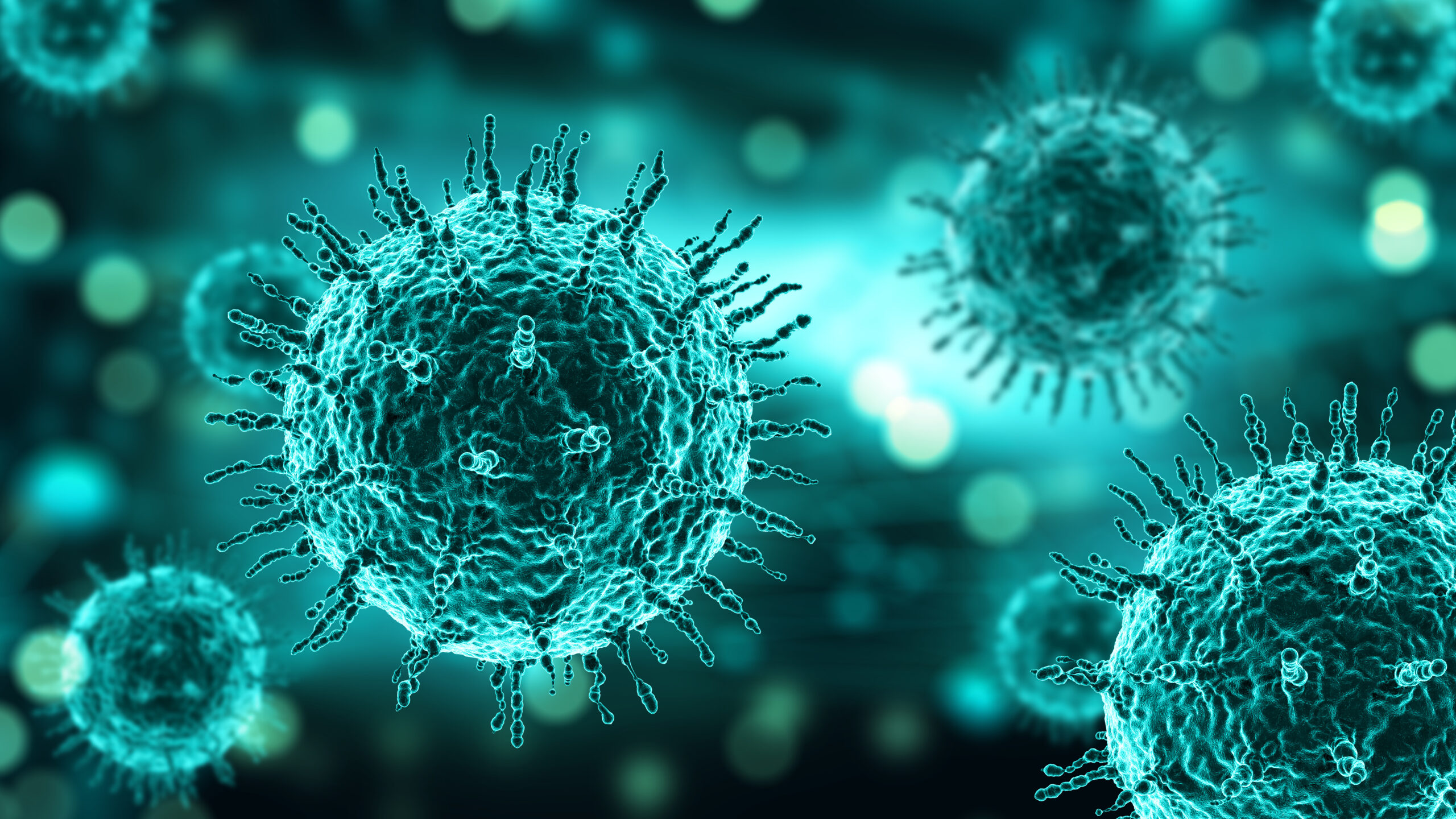 Coronavirus Update